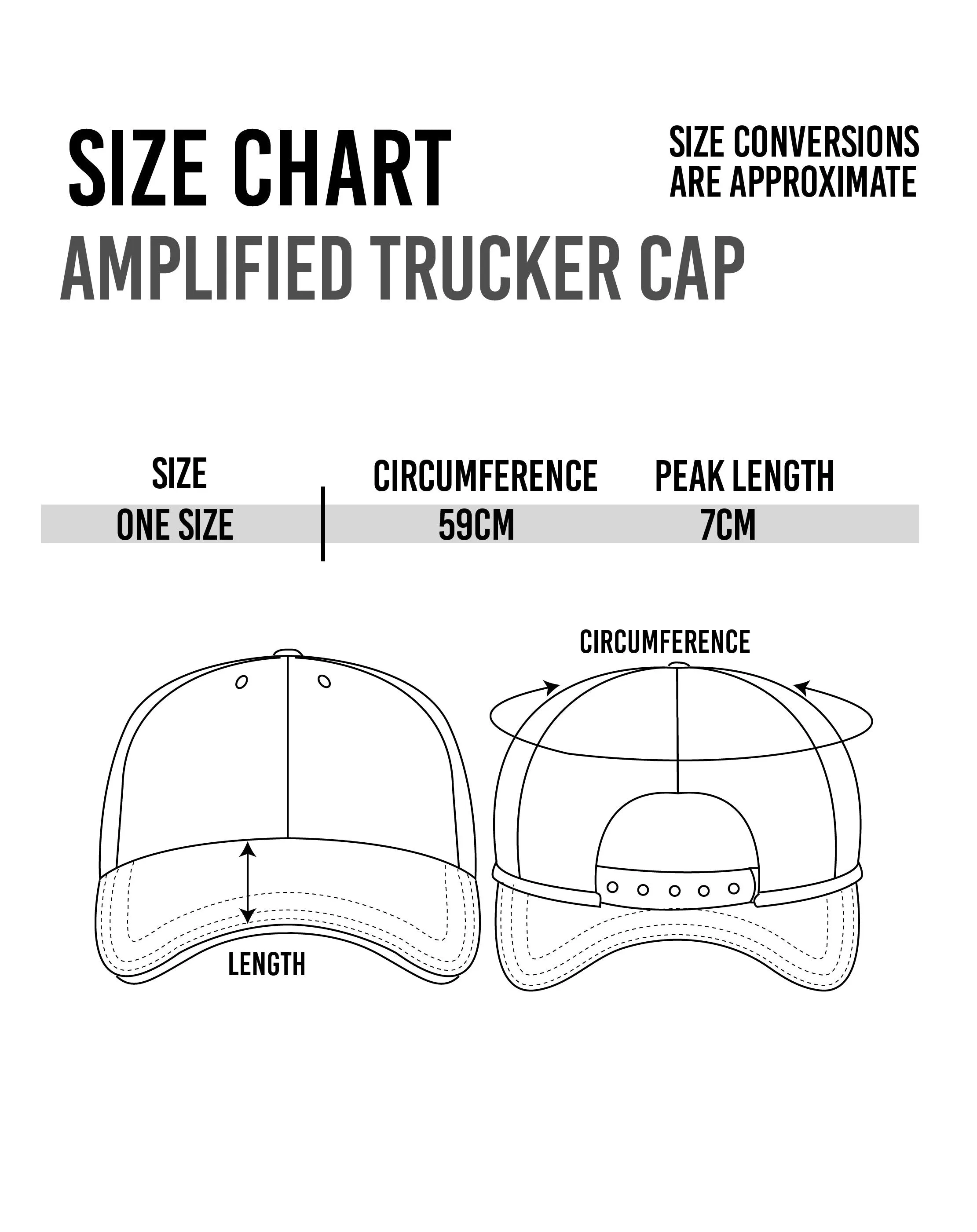 Amplified Led Zeppelin Icarus Distressed Trucker Cap