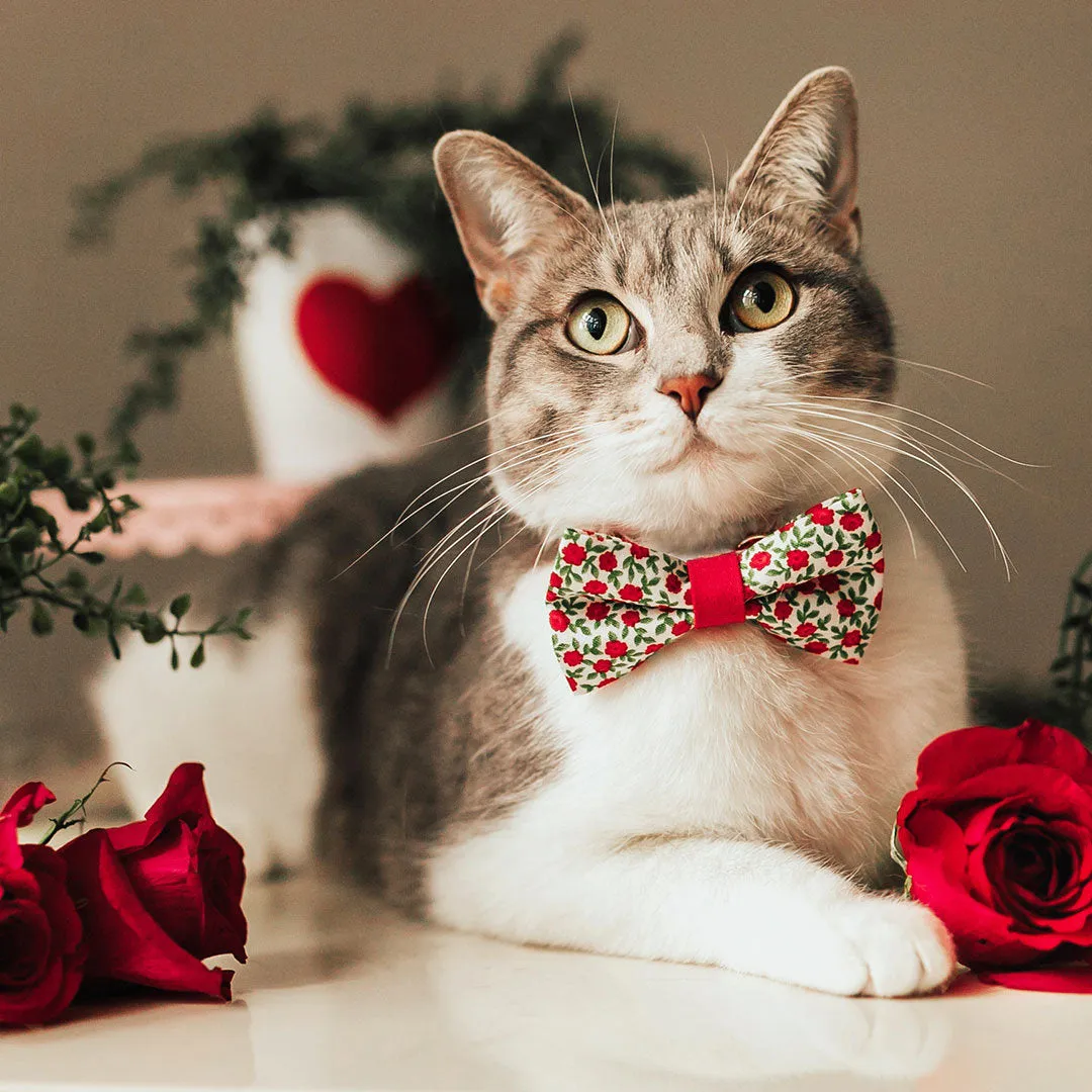 Pet Bow Tie - "Antique Rose" - Red Mini Roses Bowtie for Cats   Small Dogs / Valentine's Day / One Size