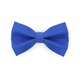 Pet Bow Tie - "Color Collection - Cobalt Blue" - Solid Color Royal Blue Cat Bow Tie / Wedding Pet Bowtie / For Cats   Small Dogs (One Size)