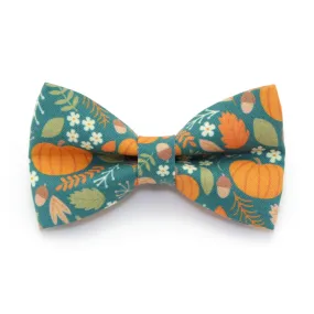 Pet Bow Tie - "Pumpkin Patch - Teal" - Fall Harvest Bowtie / Autumn   Thanksgiving / For Cats   Small Dogs / Removable (One Size)