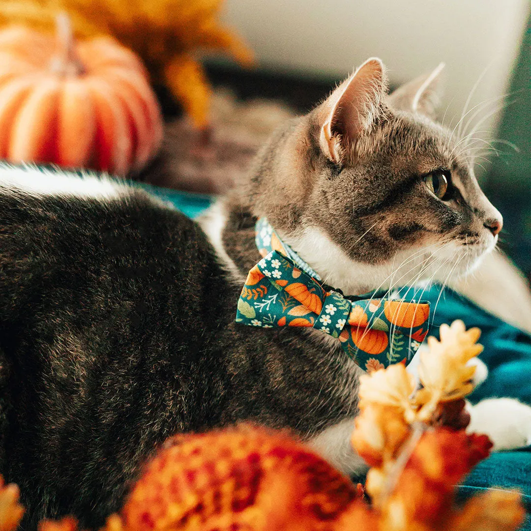 Pet Bow Tie - "Pumpkin Patch - Teal" - Fall Harvest Bowtie / Autumn   Thanksgiving / For Cats   Small Dogs / Removable (One Size)