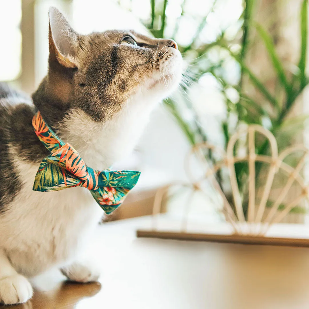 Pet Bow Tie - "Tropicalia" - Palm Leaf Tropical Bow Tie for Cat / Botanical, Summer, Hawaiian / For Cats   Small Dogs (One Size)