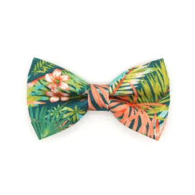 Pet Bow Tie - "Tropicalia" - Palm Leaf Tropical Bow Tie for Cat / Botanical, Summer, Hawaiian / For Cats   Small Dogs (One Size)
