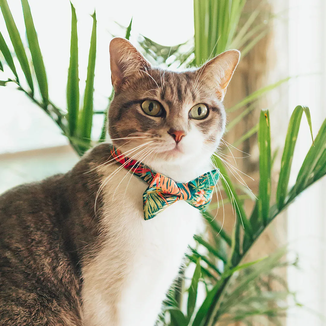 Pet Bow Tie - "Tropicalia" - Palm Leaf Tropical Bow Tie for Cat / Botanical, Summer, Hawaiian / For Cats   Small Dogs (One Size)