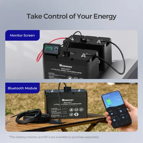 Renogy RBT100LFP12S - 12V 100Ah Smart Lithium Iron Phosphate Battery